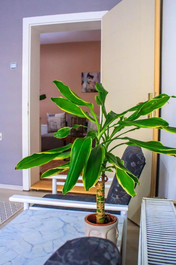 Bb Downtown Apartment Bajina Basta Eksteriør billede